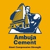 Ambuja cement- Home Renovation - Building material