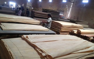 Types of Plywood available in Indian market