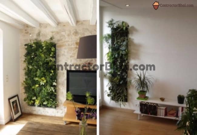 Contractorbhai-Green-Vertical-Garden Contractorbhai-Green-Vertical-Garden