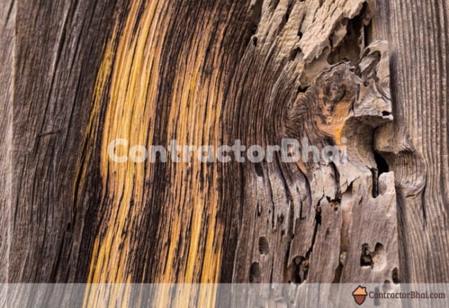 Contractorbhai-Close-up-of-WoodGrains-of-Solid-wood Contractorbhai-Close-up-of-WoodGrains-of-Solid-wood
