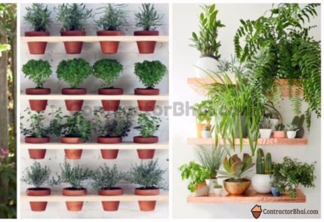 Contractorbhai-Fresh-Vertical-Garden-Ideas
