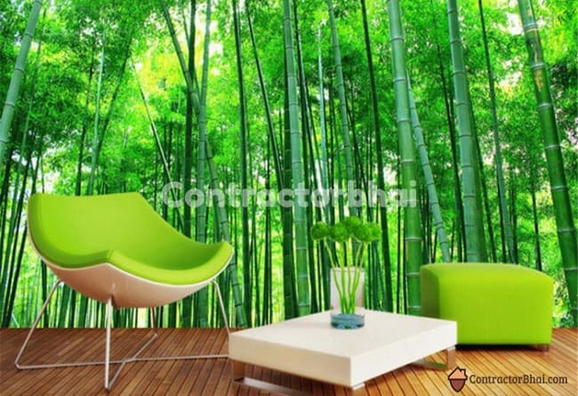 Contractorbhai-3D-Wallpaper-that-make-you-feel-next-to-Nature