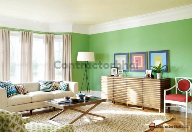 Contractorbhai-Green-Wall-Paint-for-feel-nexto-to-Nature