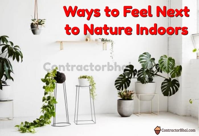 Contractorbhai-Ways-to-Feel-next-to-Nature-Ind