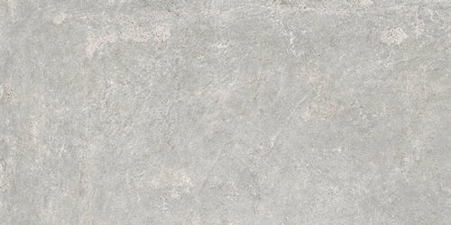 GP00198-Kajaria-Nakara-Gris