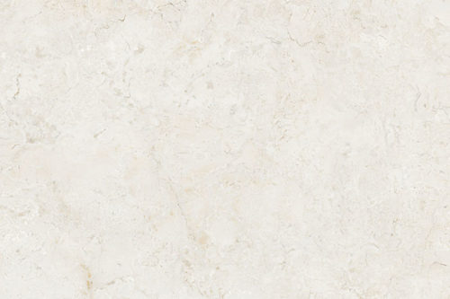 GP00970-Kajaria-Paloma-Marfil