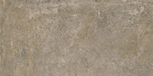 GP00196-Kajaria-Nakara-Bronze