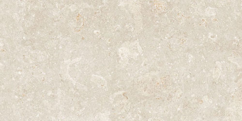 GP00565-Kajaria-Cambria