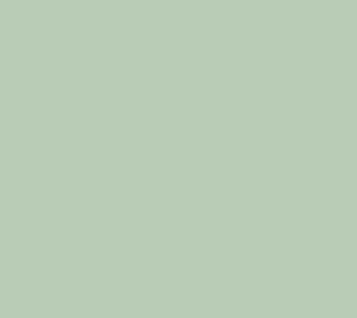 8386 -Pepper-Leaf-Asian-Paints