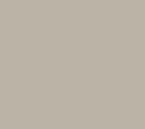 8442-Weathered-White-Asian-Paints